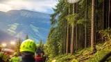 Große Suchaktion am Schwarzenberg: Paragleiter in Baum entdeckt und geborgen
