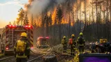 Großeinsatz in Wiener Neustadt: Feuerwehr löscht Waldbrand bei Föhrenwald