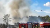 Großeinsatz nach Waldbrand in der Lobau: Feuerwehren aus Gänserndorf unterstützen