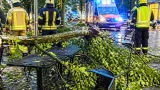 Großer Kastanienast stürzt in Gastgarten in Wels-Neustadt — Gäste verletzt, Straße gesperrt