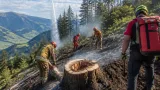 Hartnäckige Glut in Großarl: Kooperation verhindert größere Waldkatastrophe