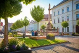Hauptplatz in St. Veit: Pop‑Up‑Park mit zehn Lederhülsenbäumen wird im Juli eröffnet
