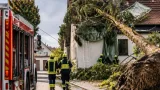 Heftiger Sturm in Steinabrunn: Bäume entwurzelt, Dächer beschädigt