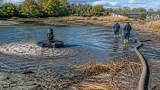 Hitze und Niedrigwasser gefährden Fischbestände im Weinviertel