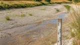 Hitzemonat Juli trifft Grieskirchen: Flüsse führen dramatisch wenig Wasser