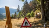 Hitzewelle trifft Tirol: Schutz gegen Überhitzung und erhöhte Waldbrandgefahr