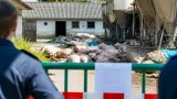 Hunderte verendete Schweine auf Hof in Bezirk Amstetten – Anzeige und Betriebsschließung