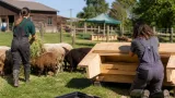 Jugendliche aus dem Bezirk lernen praktischen Tierschutz am Assisi‑Hof in Stockerau