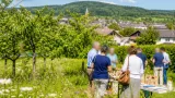 Kleine Maßnahmen, große Wirkung: Naturschutz im Bezirk Völkermarkt stärken