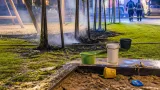 Kleiner Brand am Spielplatz Sandwirtstraße: Feuerwehr löscht Flächenbrand in Wels-Neustadt