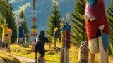 Künstler aus Ternitz gestaltet zehn „Bizarre Bestien“ für Bikestrecken in Salzburg