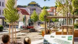 Land fördert Entsiegelung und Begrünung — Mehr Hitzetage im Bezirk Rohrbach zwingen zum Handeln
