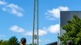 Leonding: Nymphensittich auf Strommast gefunden — Stadtservice sucht Besitzer