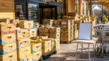 Mistelbach: 110 Kartons mit Lebensmitteln für Bedürftige – breite Hilfsbereitschaft beim Interspar