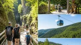 Mit der Niederösterreich-CARD: 18 Ziele und 43.646 Besuche im Bezirk Scheibbs