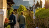 Nachbarschaftsstreit bei Kitzbühel führt zu gewalttätiger Eskalation