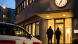 Notdienst für Kleintiere bleibt gesichert: Magistrat verlängert Finanzierung