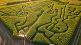 Österreichs größtes Maislabyrinth in Klein‑Meiseldorf startet: Bio‑Anbau, Musikquiz und 11 Hektar Irrwege