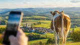 Online-Beitrag «Kuh Shooting mit Ausblick»: Hinweise zur Anzeige und eigenen Beteiligung