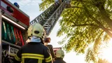 Papagei 'Coco' nach mehrstündigem Baumaufenthalt mit Drehleiter gerettet