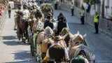 Pferde bleiben Teil des Villacher Kirchtags – Sicherheit und Brauchtum im Einklang
