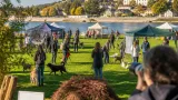Pfotentreff auf der Pionierinsel: Klosterneuburg lädt Hundebesitzer zum Austausch ein
