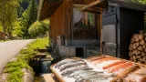 Quellfischzucht Schwaz eröffnet Hofladen: Frischer Forellen- und Saiblingsverkauf ab 29. August