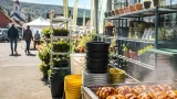 Radegundis-Kirtag in Markt Hartmannsdorf: Kübelaktion, Grillhendl und Fachinfos am 7. und 8. August