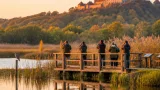 Ramsargebiet bei Burg Güssing: 150 Hektar Lebensraum für Seeadler und Co.