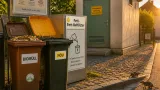 Ratten im Stadtgebiet: Wie Entsorgungsfehler die Plage anheizen und was Anrainer tun müssen