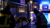 Reh blieb in Einfahrtstor stecken – Feuerwehr löst nächtliche Tierrettung in Marchtrenk