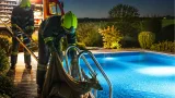Rehbock aus Privatpool gerettet: FF St. Florian befreit erschöpftes Wildtier
