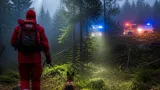 Rettungshund findet abgängigen 83‑Jährigen in Melk