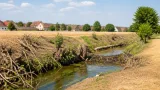 Rodungen am Runzenbach und Biberdämme: Dürre verschärft Konflikt um Wasser im Bezirk
