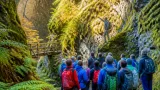 Sagenwanderung der Naturfreunde in Dornbirn: Bürserschlucht als Kulisse für Erzählungen