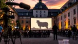 Schlosshofkino startet am 4. August mit Österreich‑Premiere der Kurzserie „SHEEP“