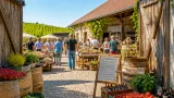 Sommer-Genusstour bringt Produzent:innen und Gäste nach Gänserndorf