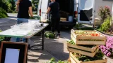 Sozialmarkt „Der Korb“ in Vöcklabruck bittet um überschüssiges Gartengemüse