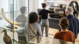 Stadtmuseum Steyr bietet öffentliche Führung: Ein Blick auf 1.000 Jahre Lokalgeschichte