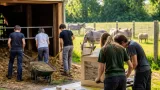 Stockerau: Jugendliche tauschen Ferienhandy gegen Stallarbeit im Tierschutzcamp