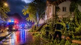 Sturmböen bis 102 km/h: Gewitterfront löste zahlreiche Feuerwehreinsätze in und um Wels aus