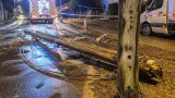 Telefonmasten von Specht beschädigt: Straße in Marchtrenk nach Umsturz gesperrt