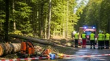 Tödlicher Forstunfall in Vorderstoder: Mann stirbt trotz Einsatzkräften