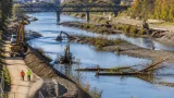 Traun-Ufer werden umgestaltet: 1,2 km Renaturierung in Linz startet im Oktober