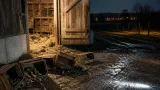 Unbekannte stehlen 24 Legehennen, Gemüse und Viehwasserspender aus Stall