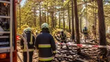 Vor 50 Jahren: Probefeuerwehrmann legte Brand im Föhrenwald bei Neunkirchen