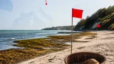 Warnung vor Blaualgen an der Ostsee: Relevanz für Badegäste auch in Baden