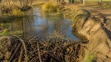 Wasserfragen am Runzenbach: Konflikt zwischen Biberdämmen und landwirtschaftlicher Nutzung in Hollabrunn