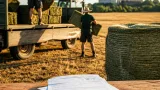 Wegen Dürre: BW erklärt Katastrophenfall für Ökobetriebe – was Landwirte jetzt tun können