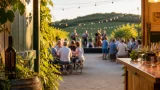 Wein, Musik und Dorfkeller: Vorstadtkollektiv begeistert im Palk-Keller von Feuersbrunn